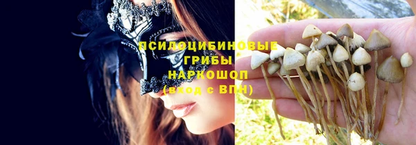 альфа пвп Новодвинск