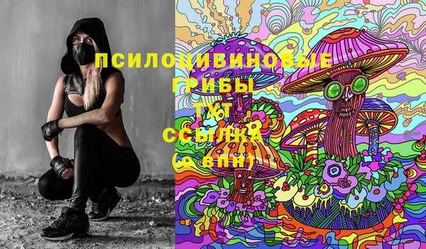ECSTASY Нязепетровск